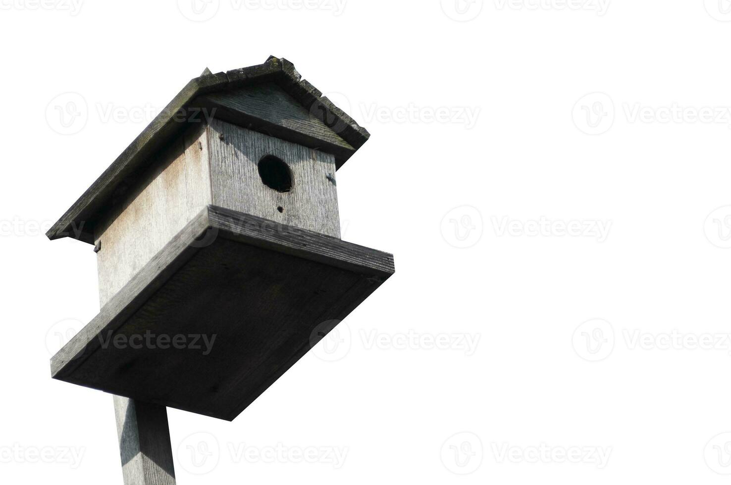 casa de pássaros em fundo branco foto