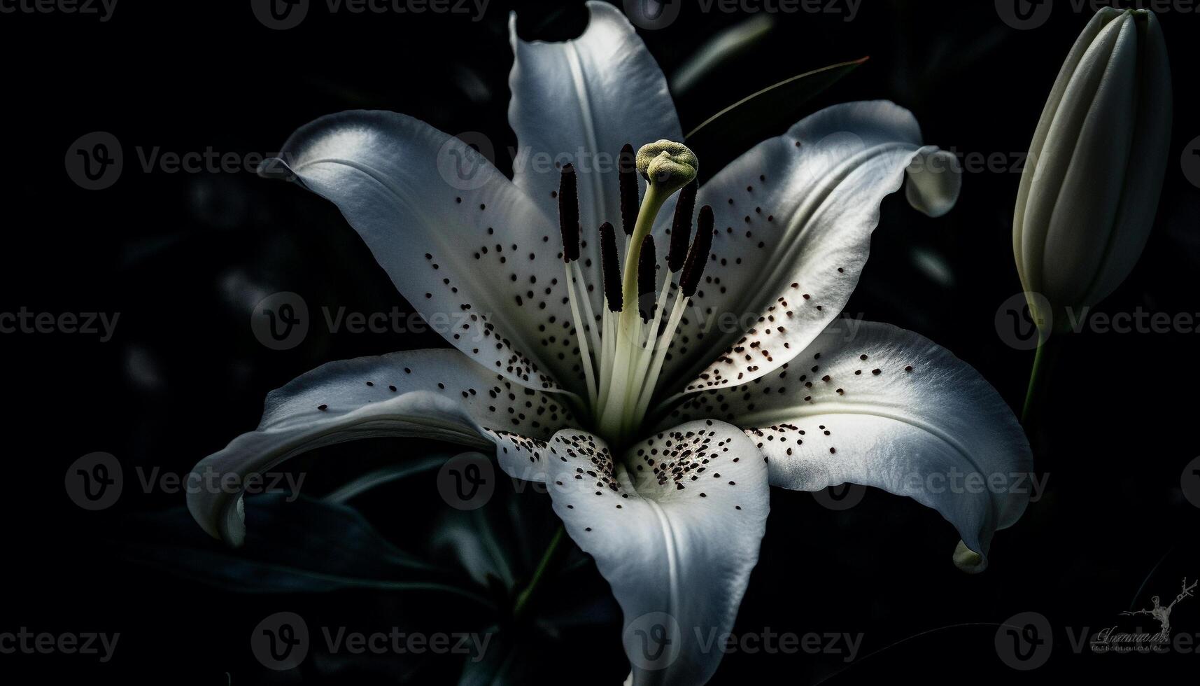 elegante orquídea florescer, fresco e delicado beleza gerado de ai foto