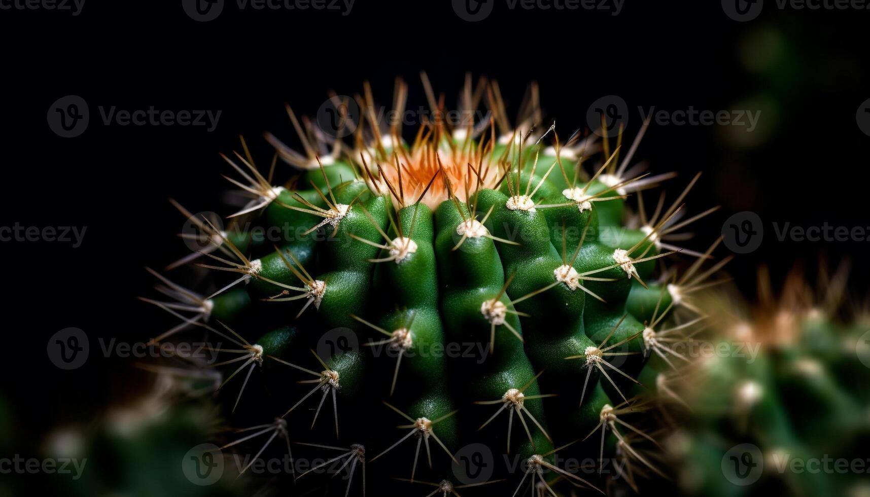 afiado espinhos proteger suculento plantar fresco crescimento gerado de ai foto