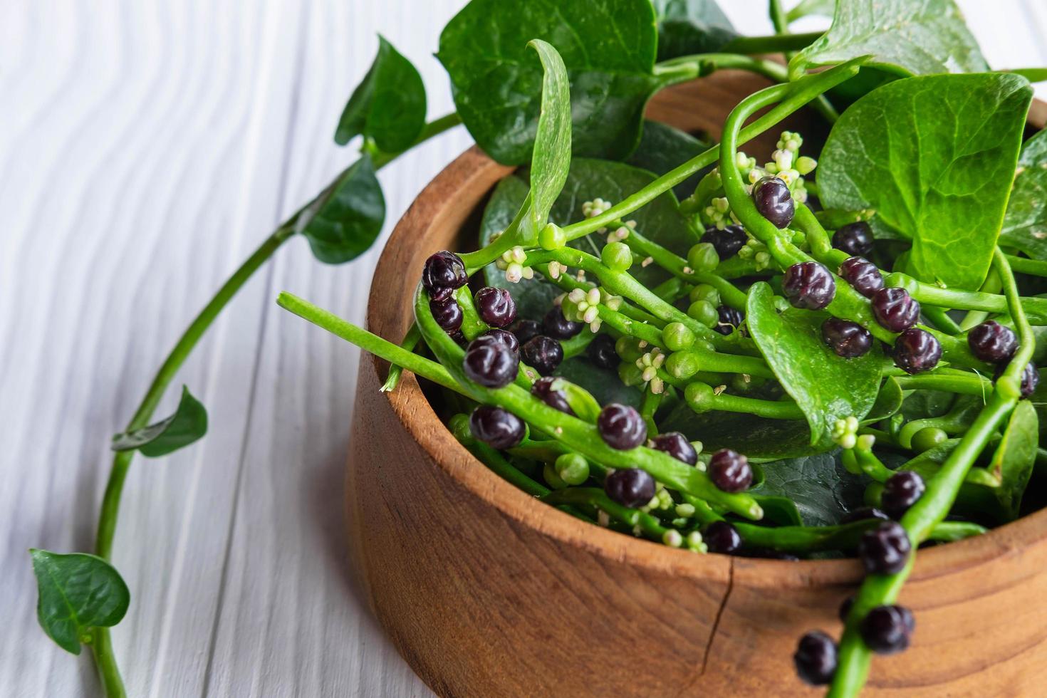 folhas de vegetais basella alba para a saúde foto