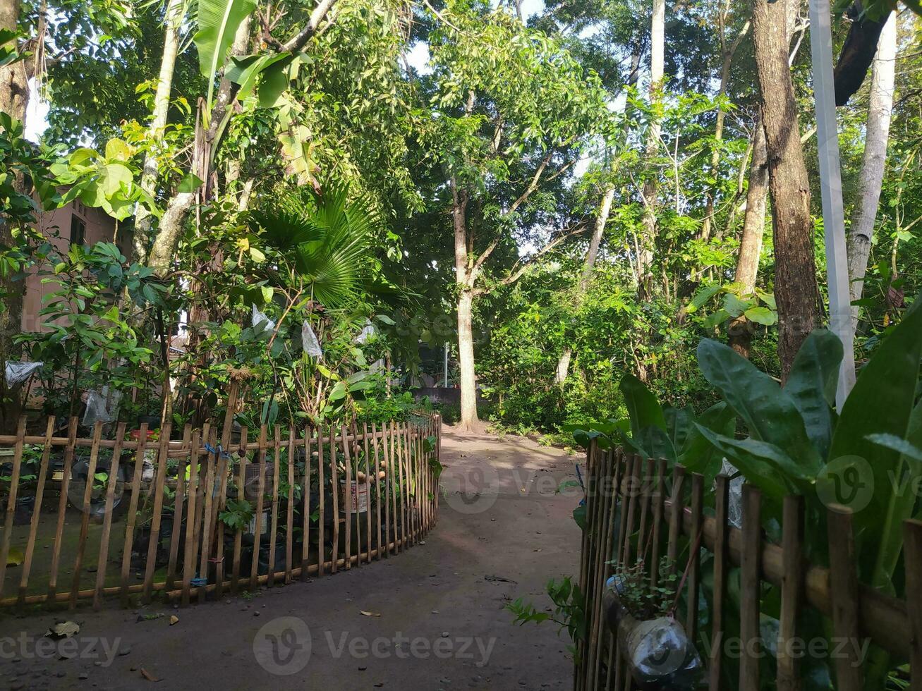 faço seu jardim seu paraíso foto