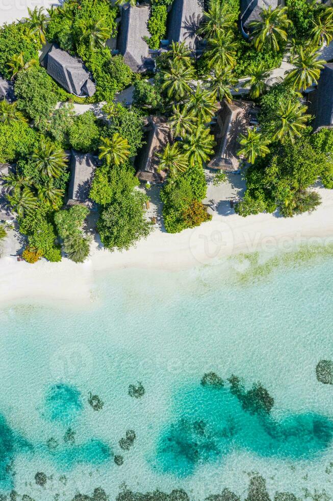 aéreo verão panorama. Maldivas paraíso de praia. perfeito tropical ilha visualizar. lindo Palma árvores e tropical de praia. colorida oceano costa costa azul lagoa. luxo viagem verão feriado fundo foto