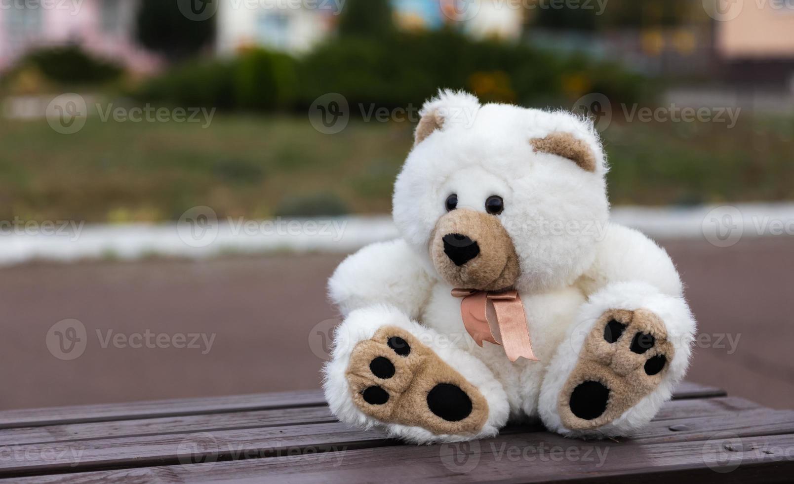 urso de pelúcia triste e solitário foto