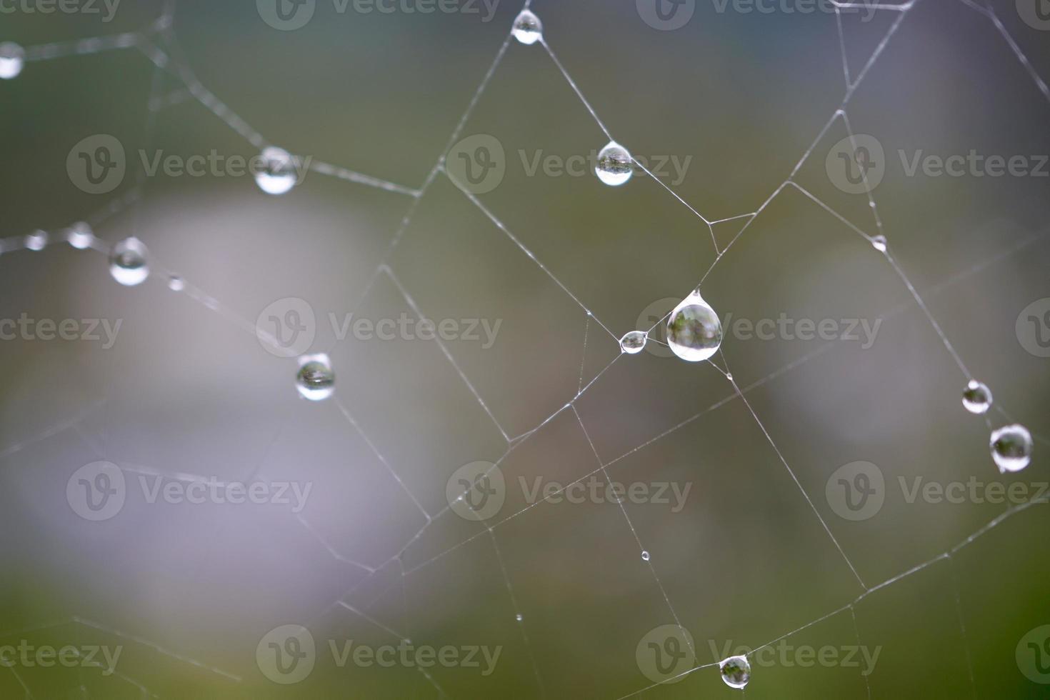 gotas na teia de aranha em dias chuvosos foto