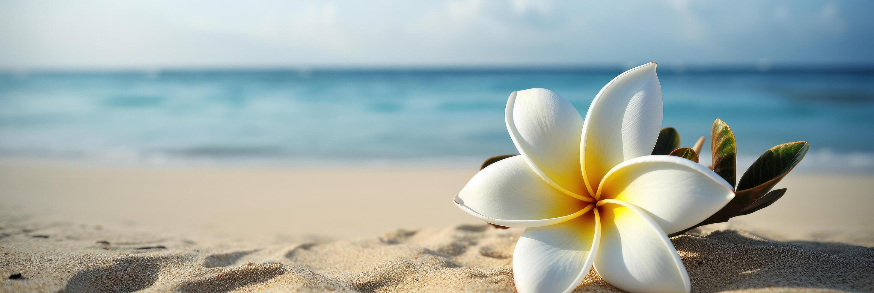 plumeria frangipani em tropical mar e de praia azul céu fundo, verão festivo tempo. generativo ai foto