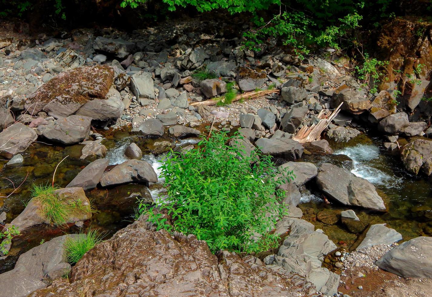 rio da montanha rio azul perto do rio azul ou foto