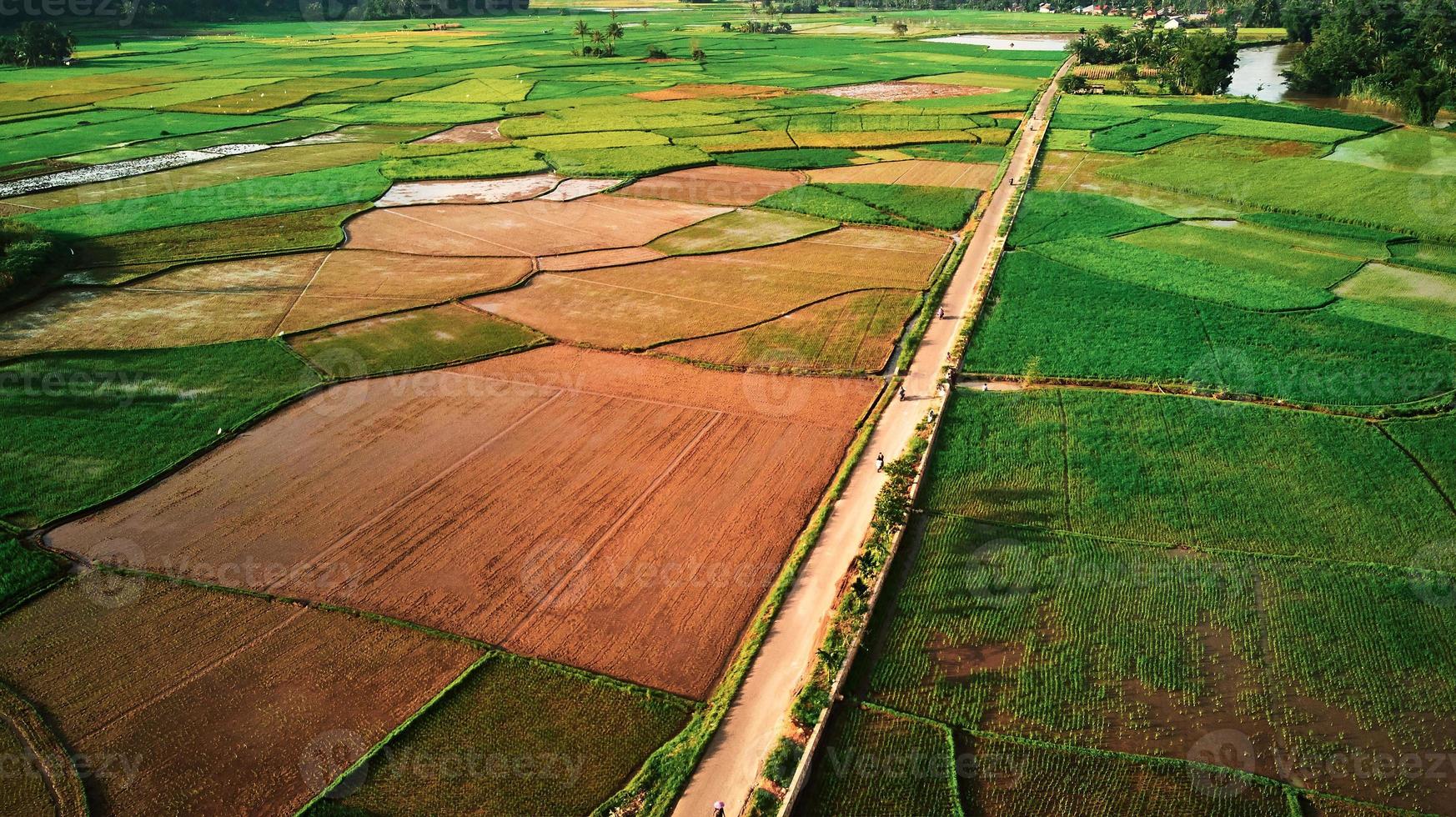 vista aérea do arrozal em sumatera barat indonésia foto