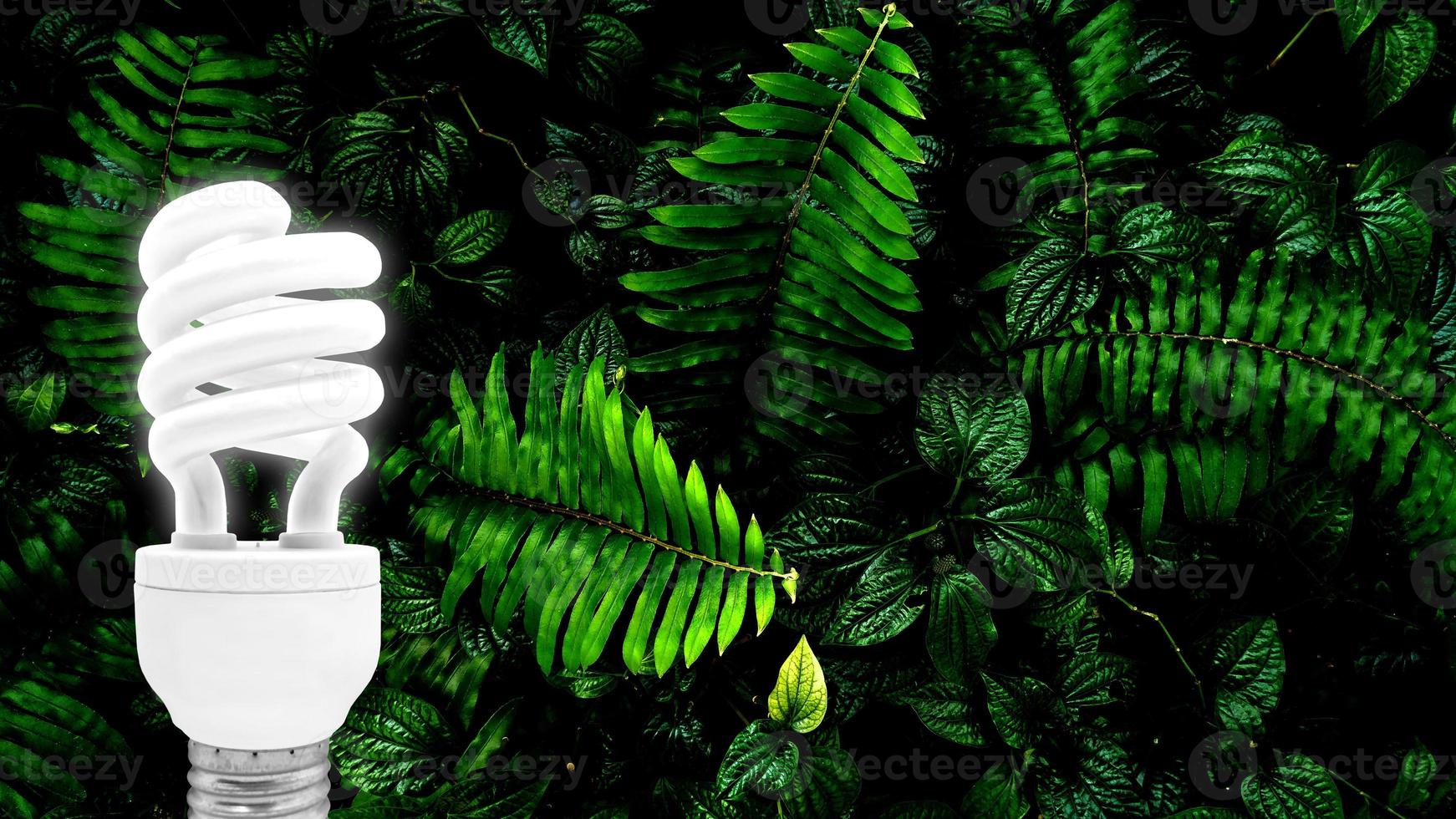 lâmpada fluorescente em fundo de folha verde tropical foto