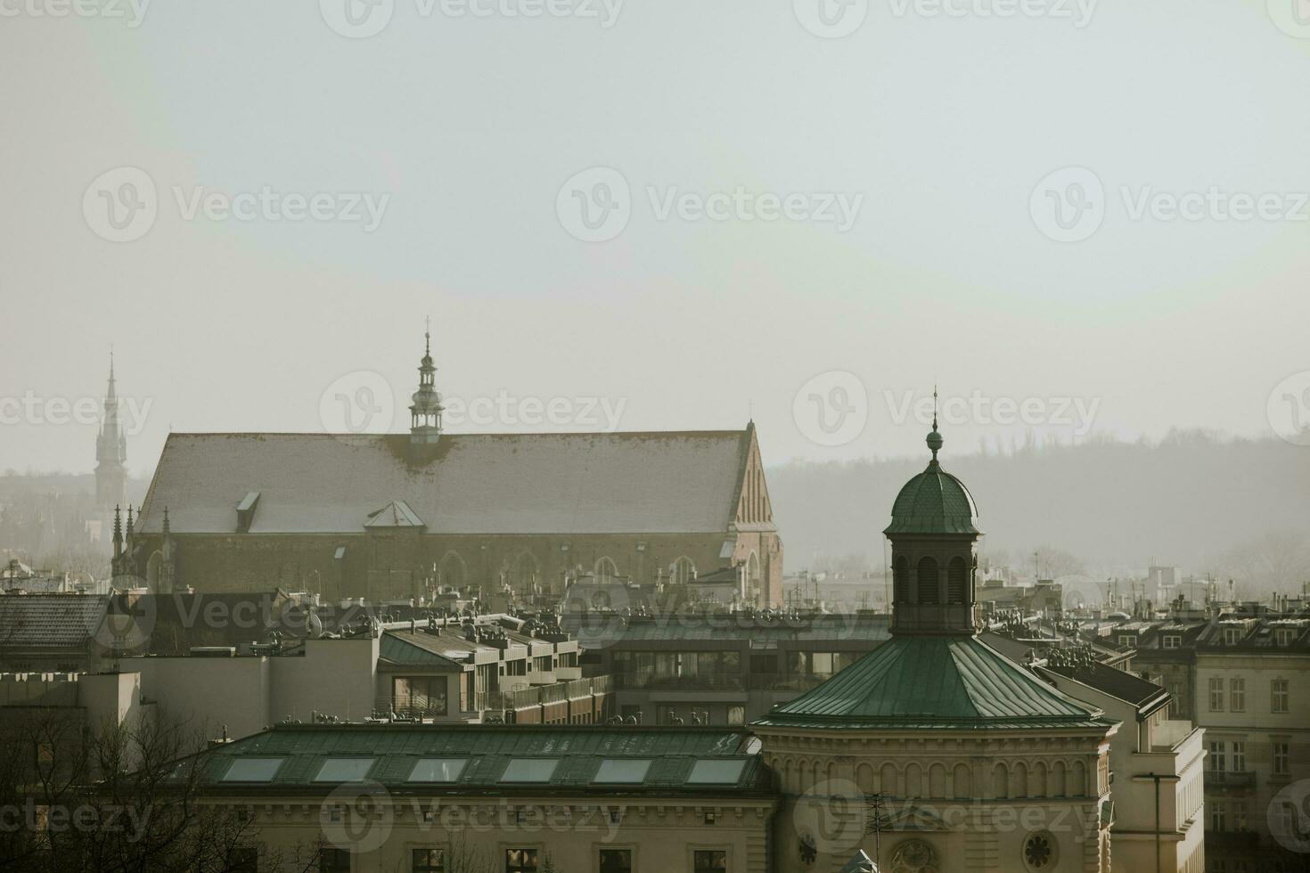 telhados panorama com torres do a Polônia cidade Cracóvia durante a inverno dia com cinzento nublado céu foto