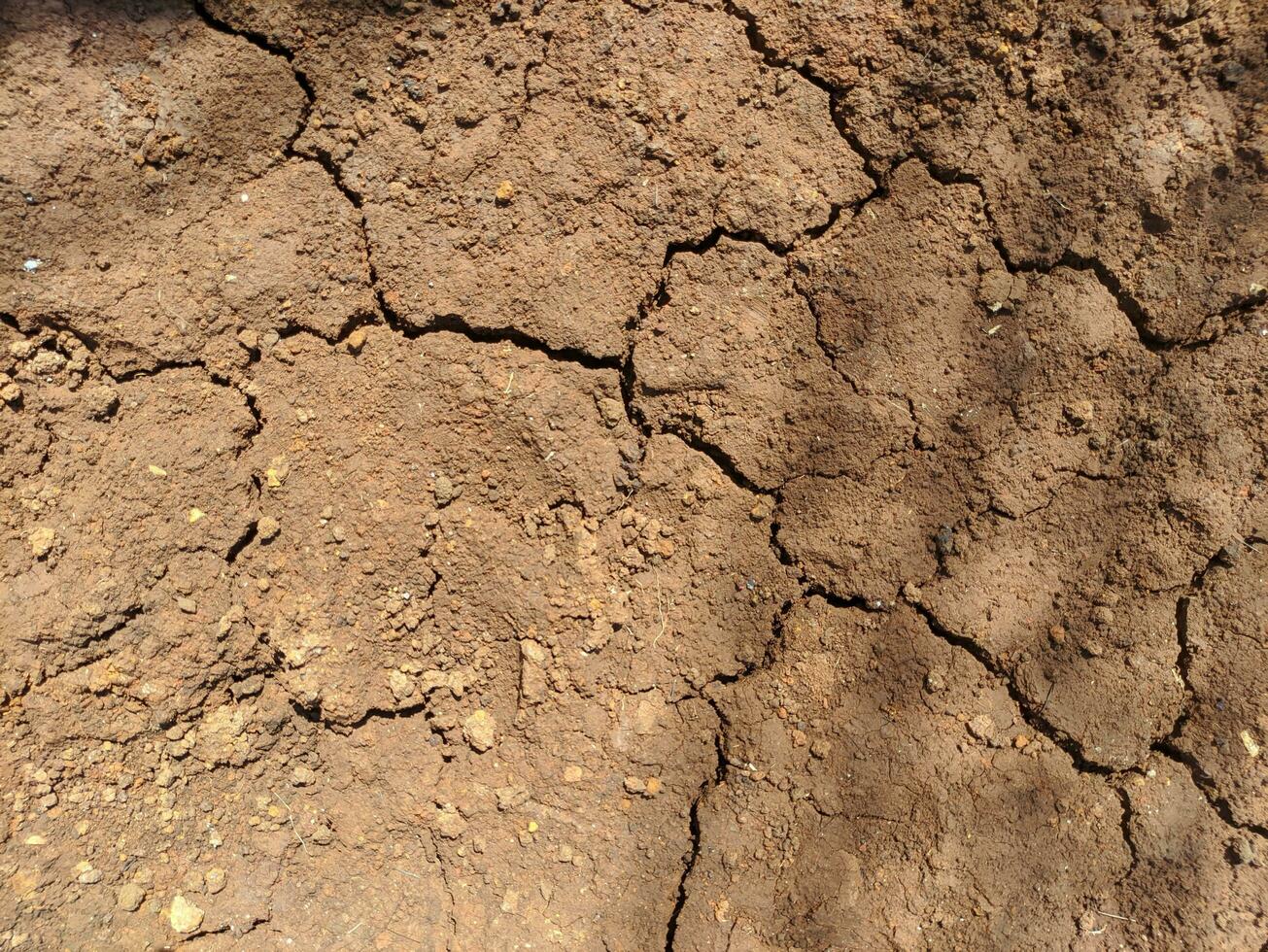 fechar-se foto do seco solo textura fundo. seco rachado terra fundo. seco rachado terra solo terra pode estar usava para clima mudança e de Meio Ambiente danificar fundo