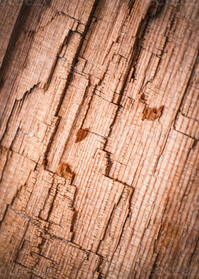 detalhe abstrato de madeira podre quebrada foto