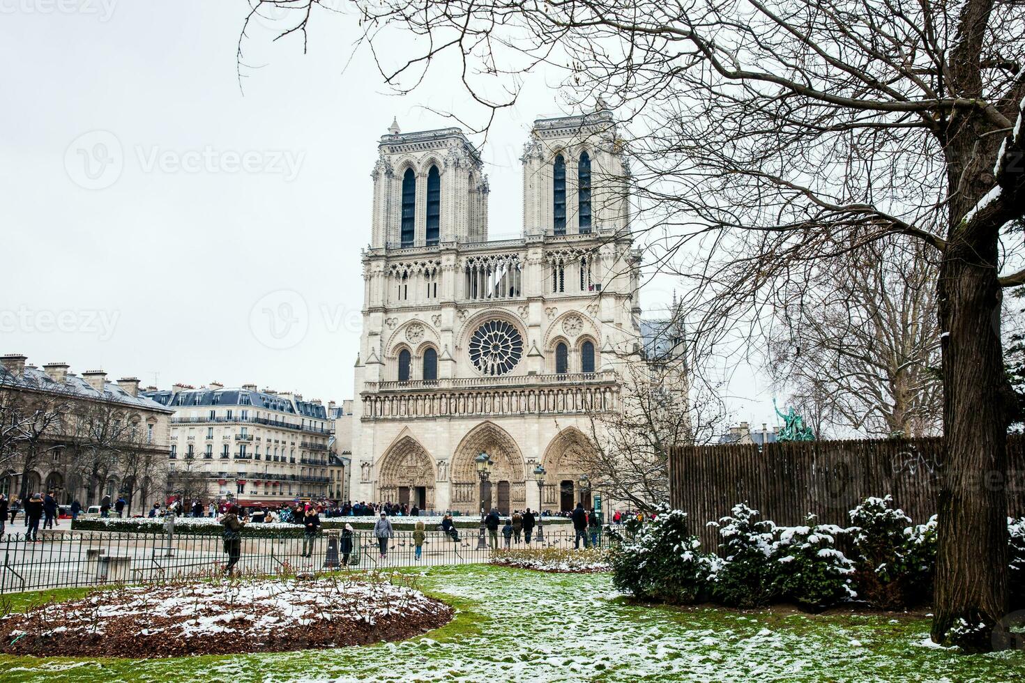 histórico catedral do nosso senhora do Paris dentro uma congelando inverno dia somente antes Primavera foto