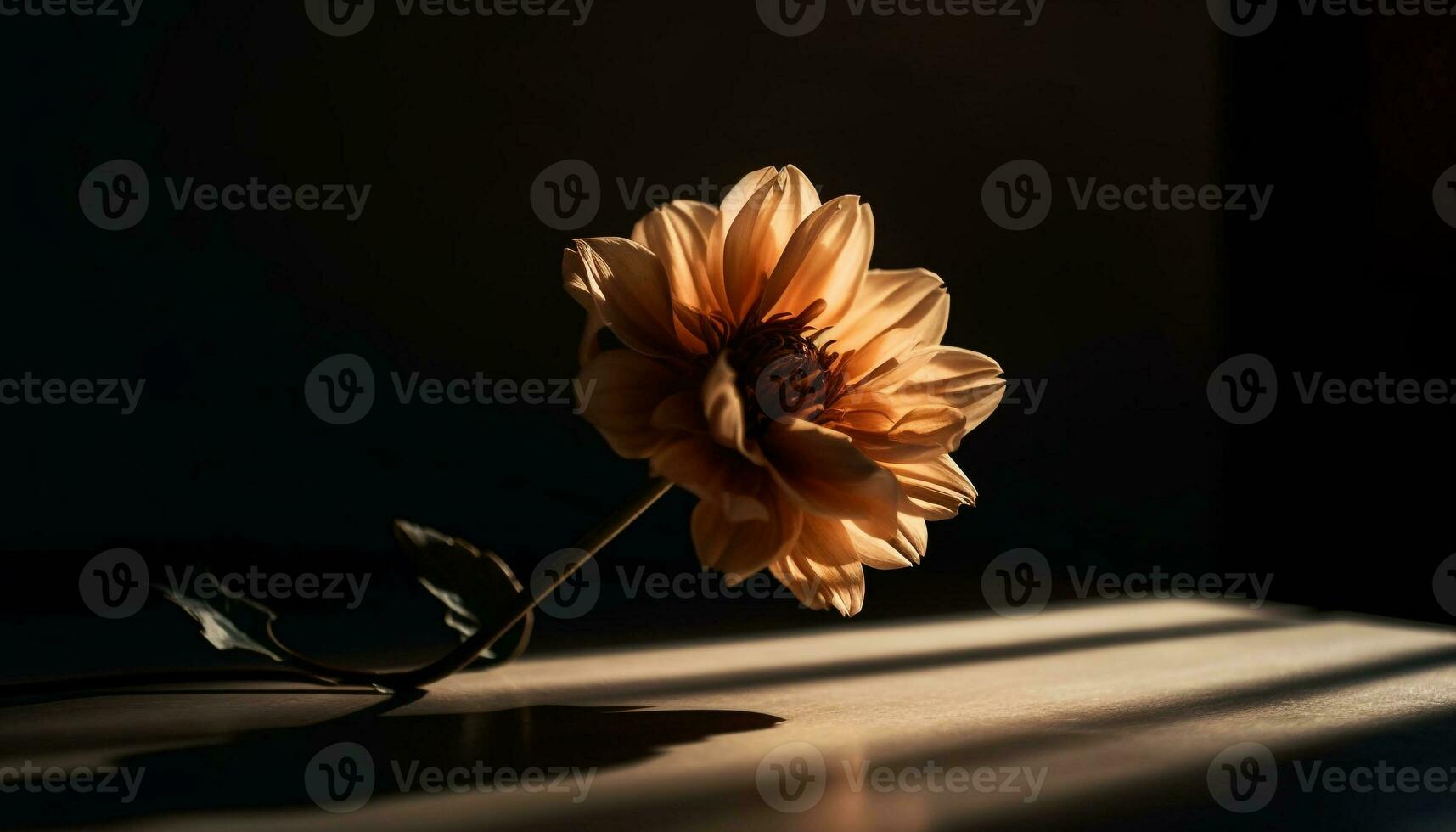 amarelo margarida Flor em Sombrio madeira mesa gerado de ai foto