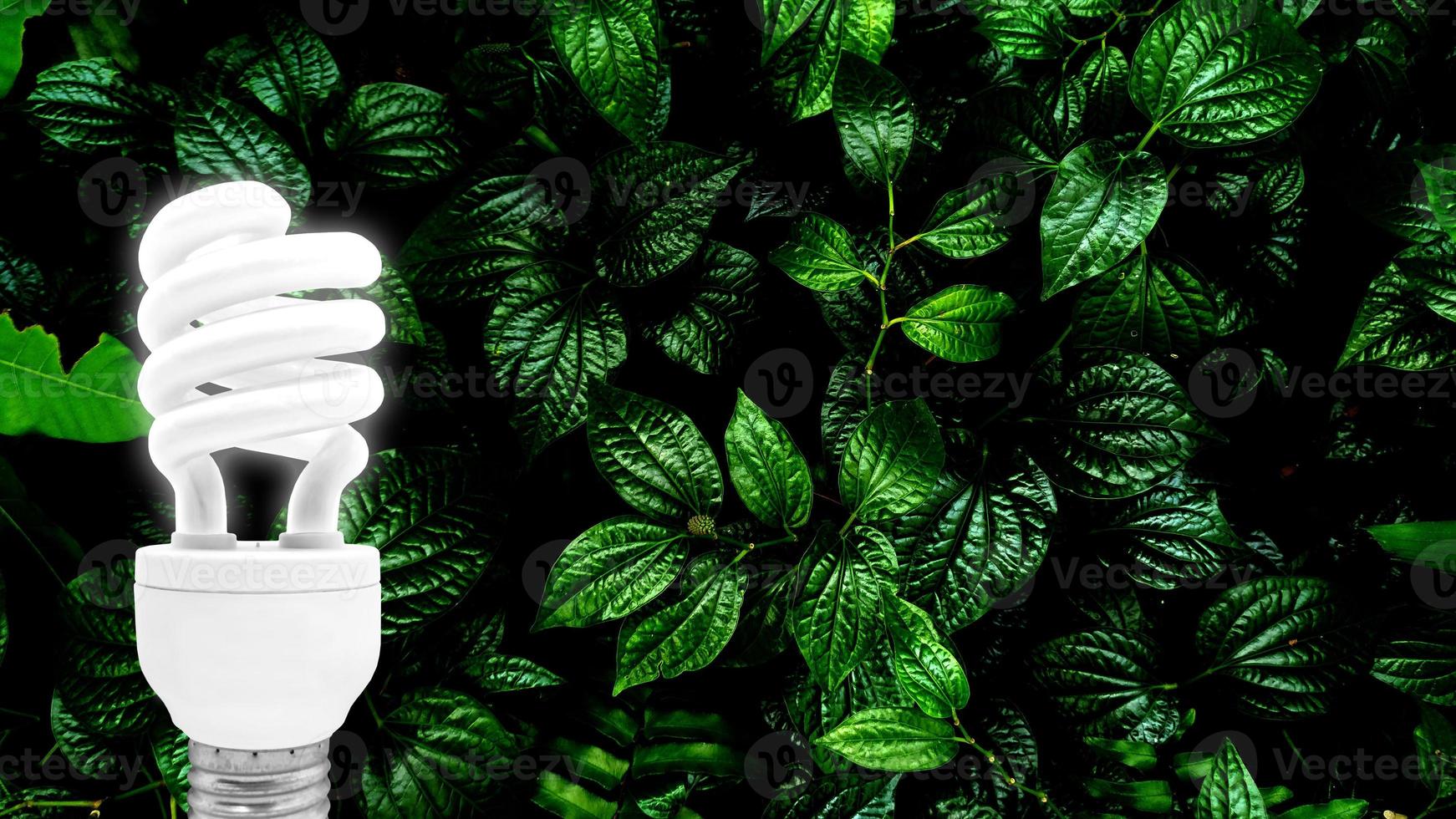 lâmpada fluorescente em fundo de folha verde tropical foto