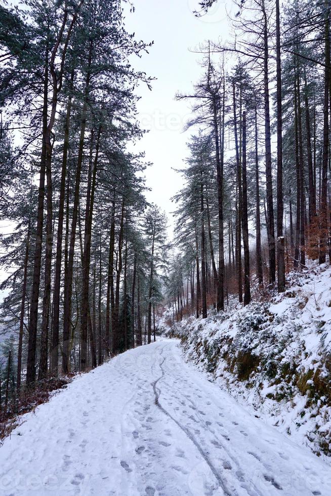 neve na montanha no inverno foto