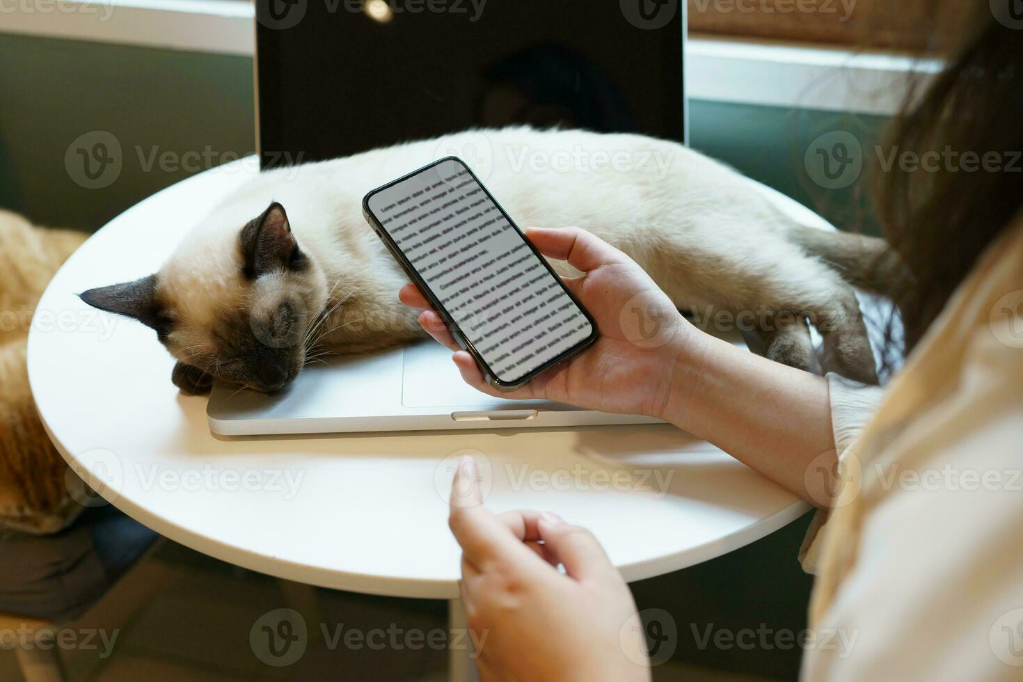 mulher trabalhando em telefone a partir de casa com gato. gato adormecido em a computador portátil teclado. assistente gato trabalhando às computador portátil foto