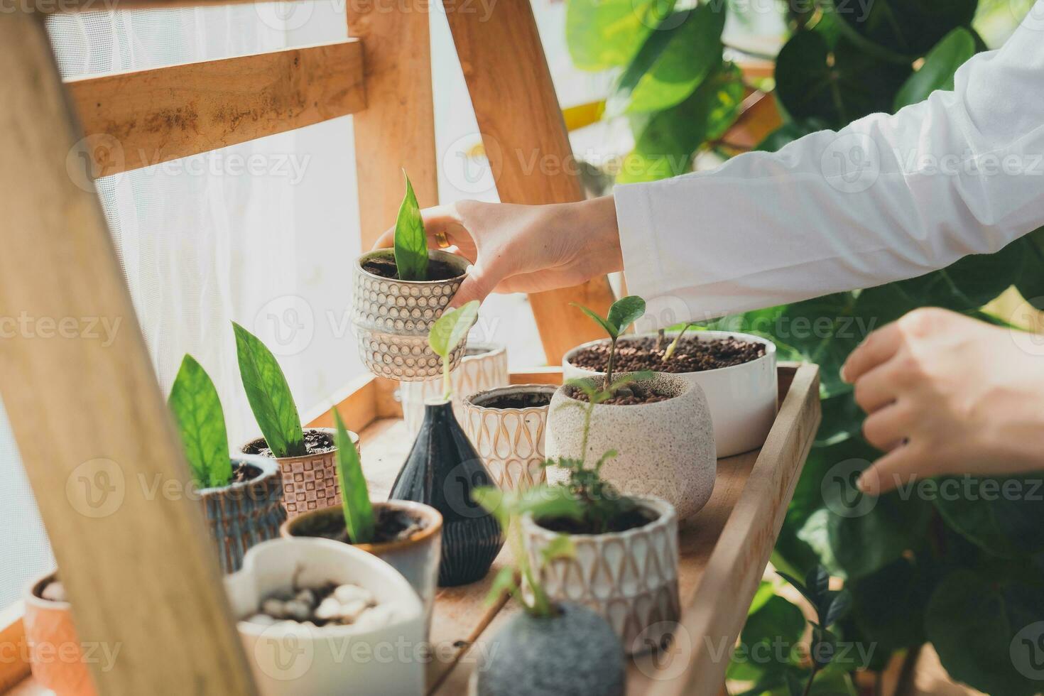 casa jardinagem, amor do plantas e Cuidado. pequeno negócios. foto