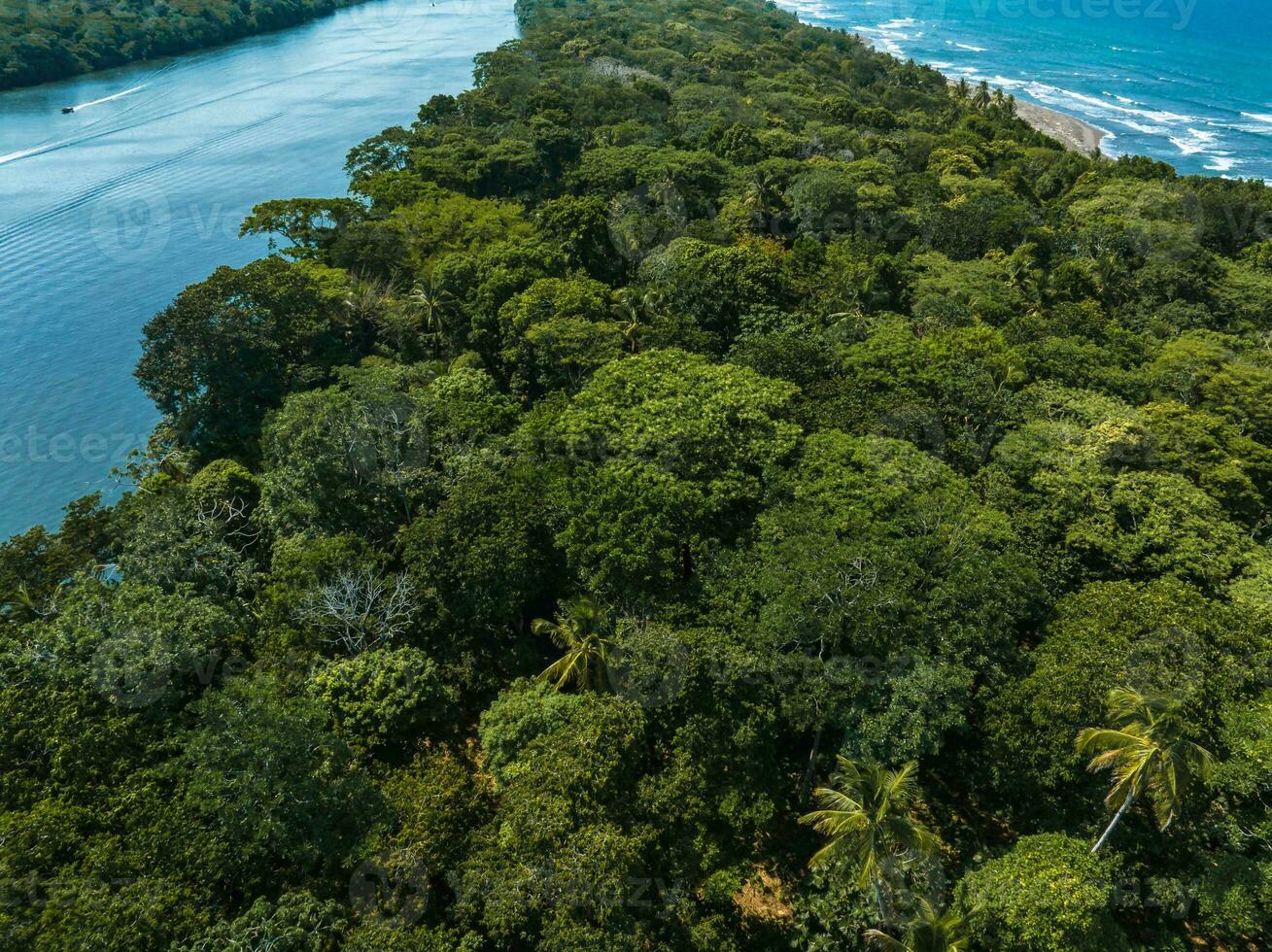 aéreo Visão do tortuguero Vila, costa rica foto