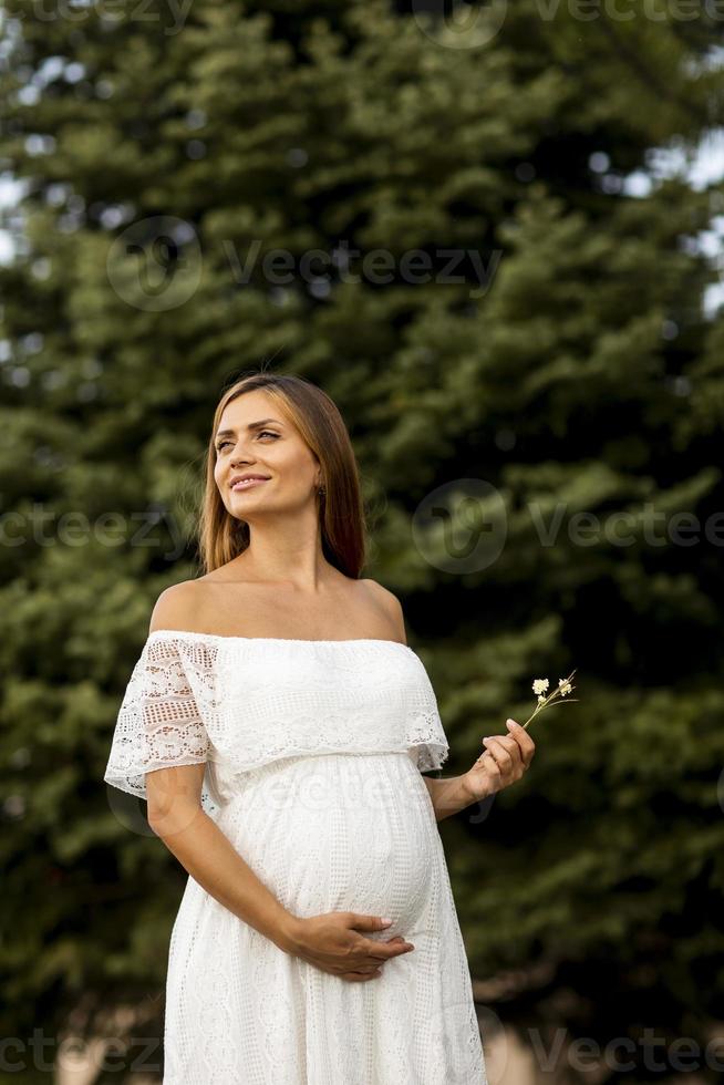 jovem grávida na floresta foto