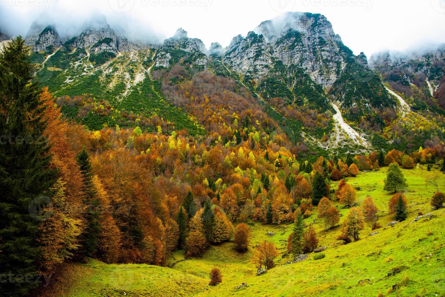 folhagem e montanhas três foto