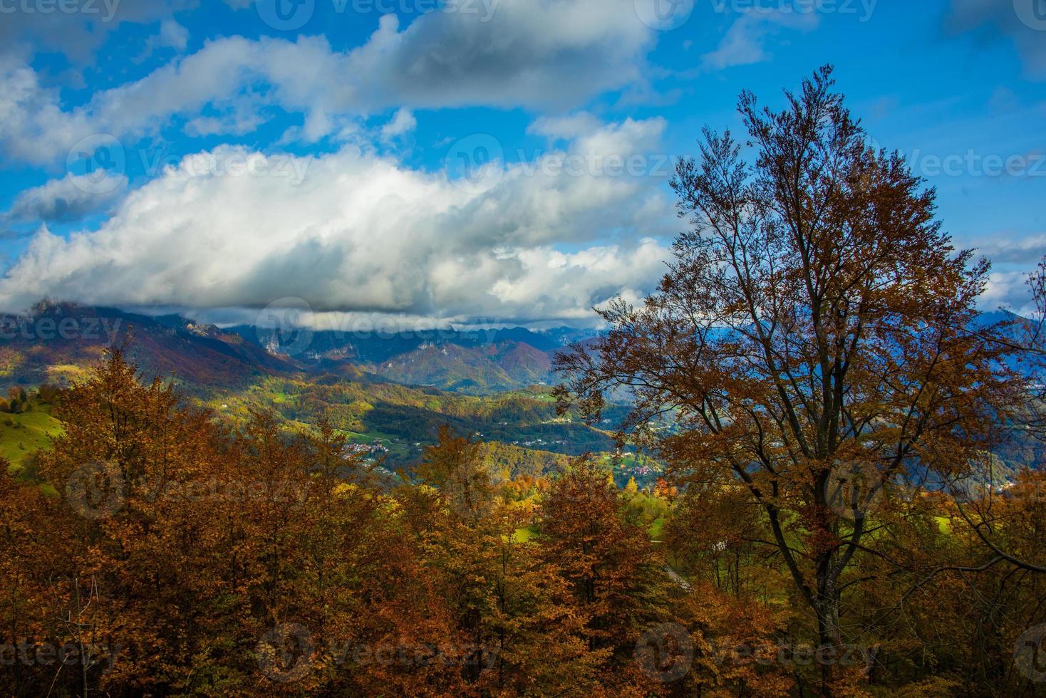 folhagem e montanhas foto