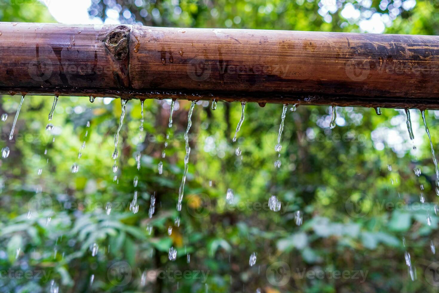 bambu com água corrente sobre a água , relaxamento com água ondulação gotas conceito foto