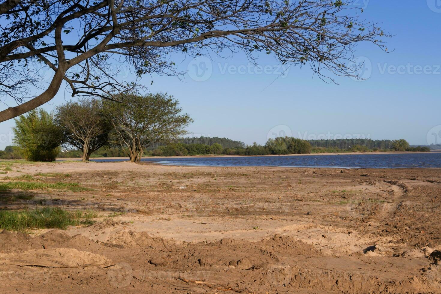 verão panorama em a bancos do a rio dentro a cidade do federação província do entre rios Argentina foto