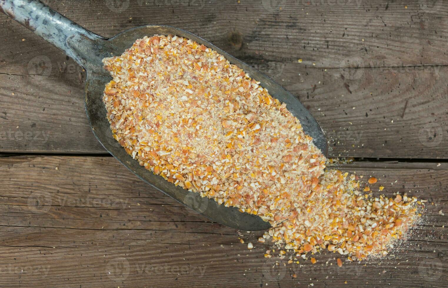 quebrado milho grãos para animal alimentação para venda dentro forragem foto