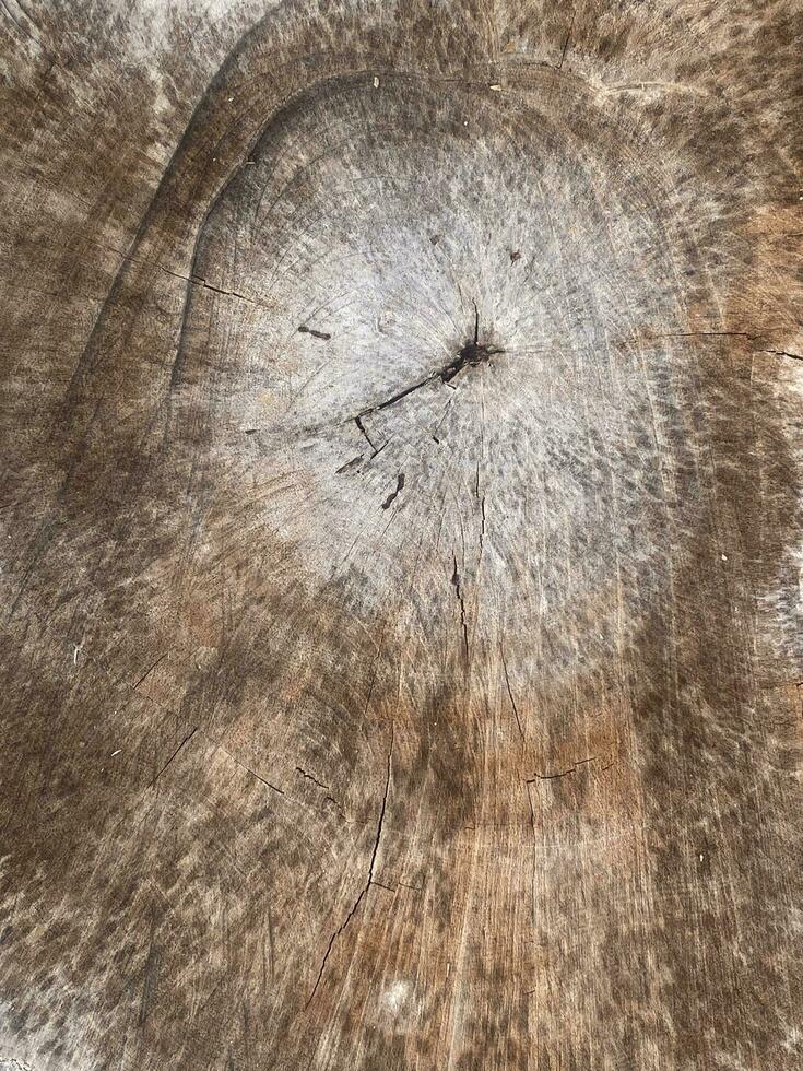 velho de madeira parede textura fundo foto
