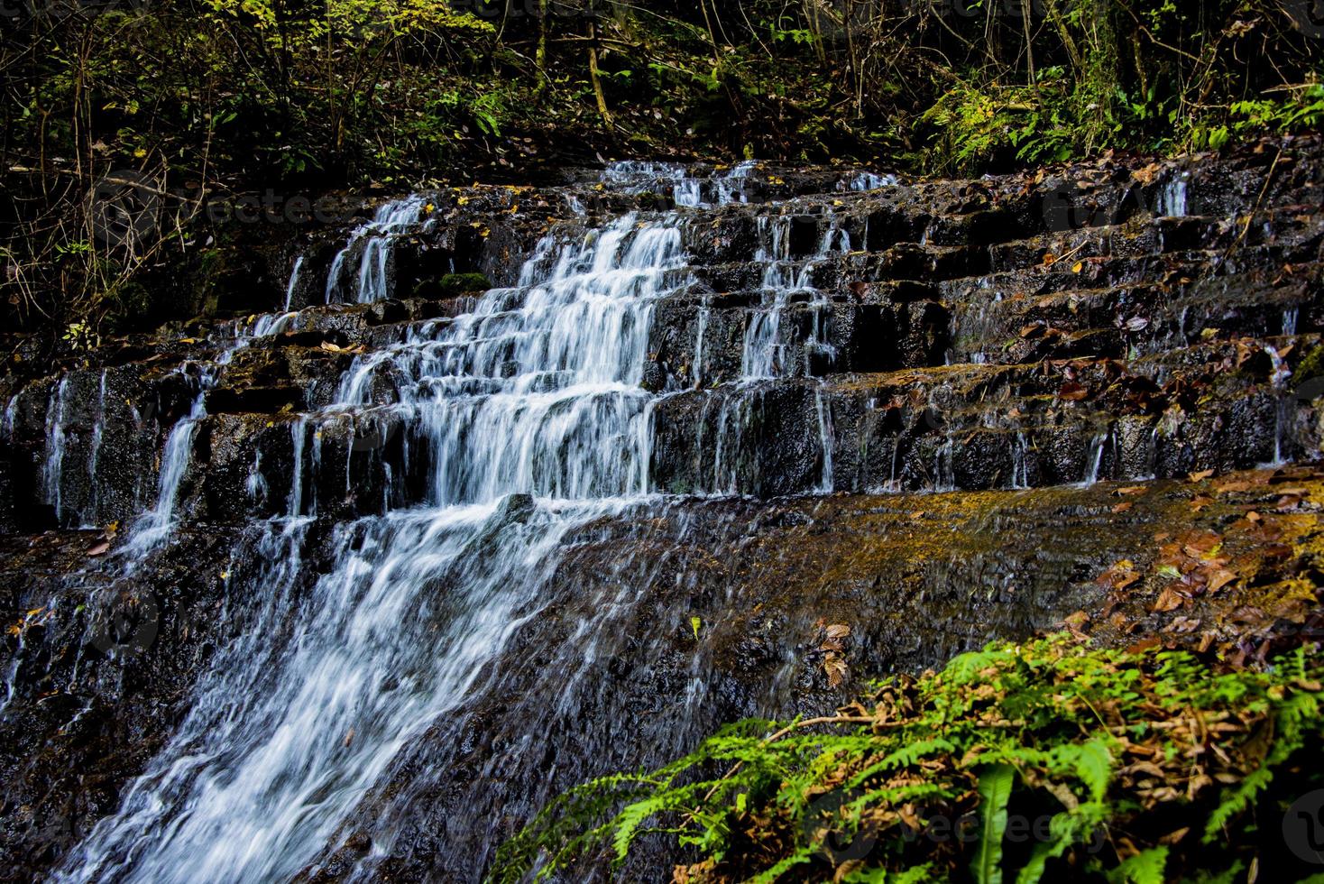 cachoeira alpina na floresta de outono um foto