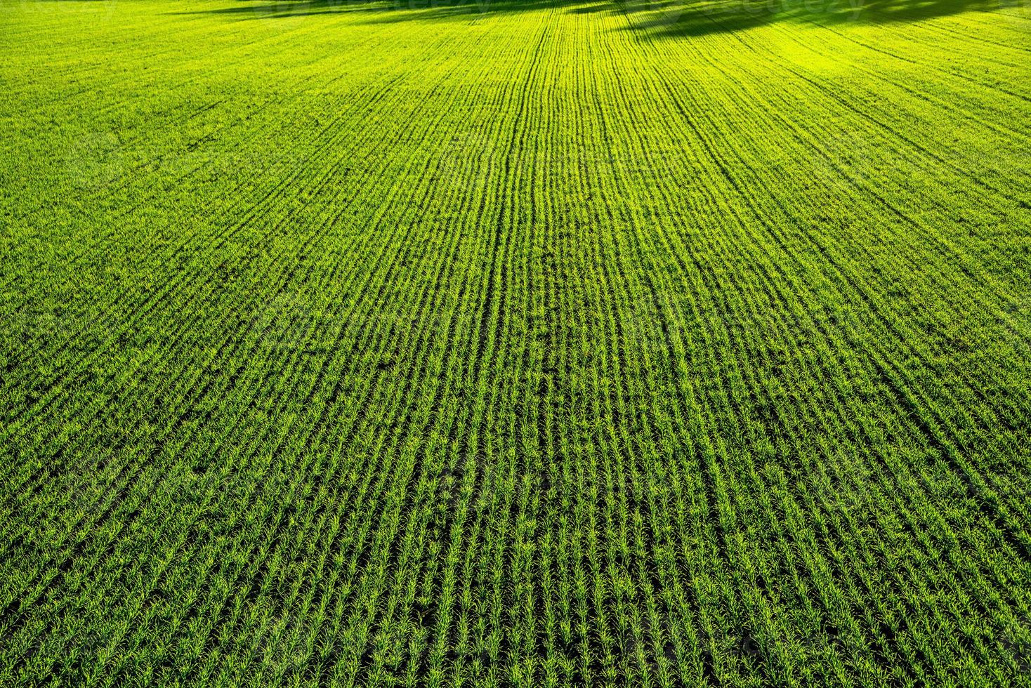 simetrias agrárias zero foto