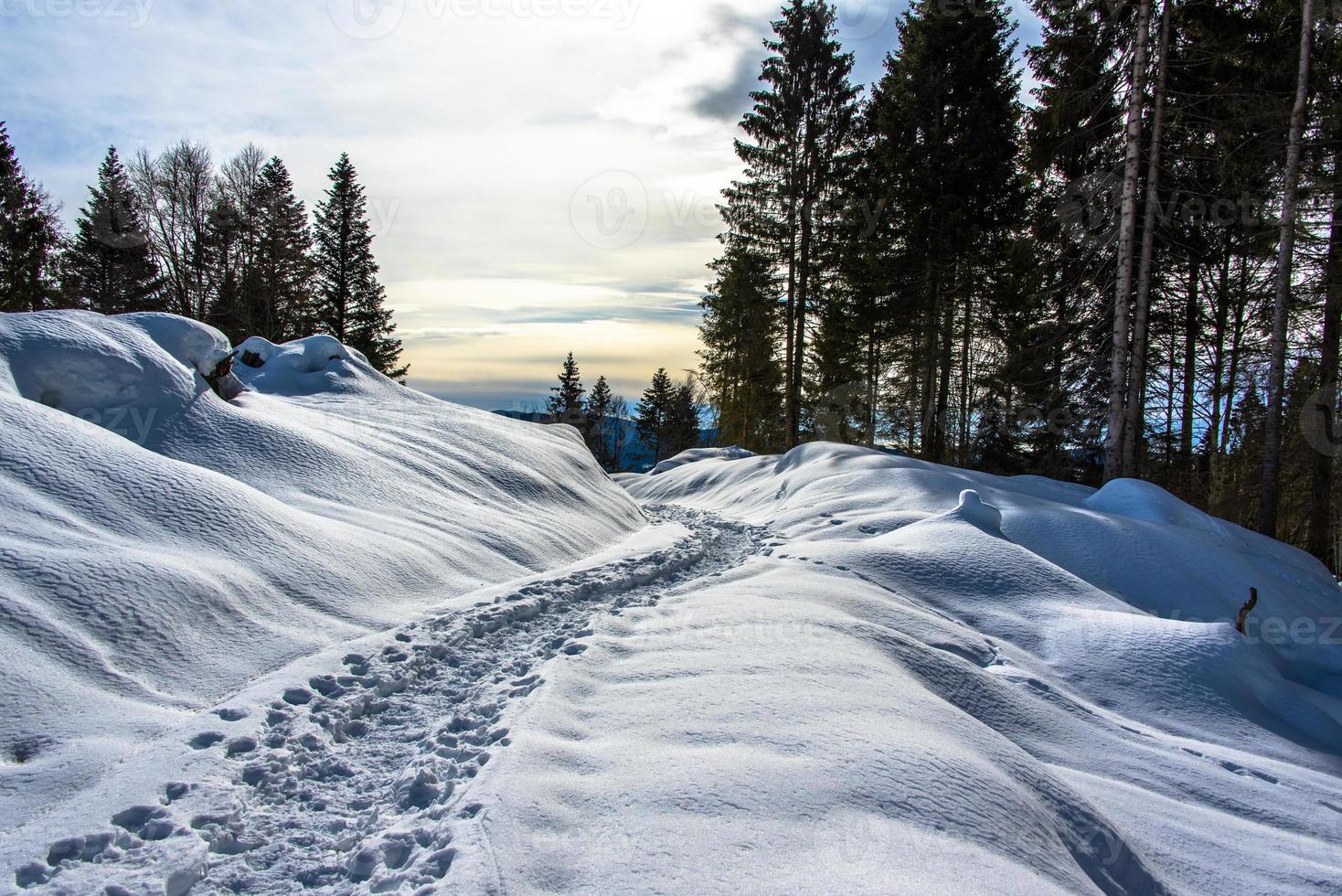 trilha na neve foto