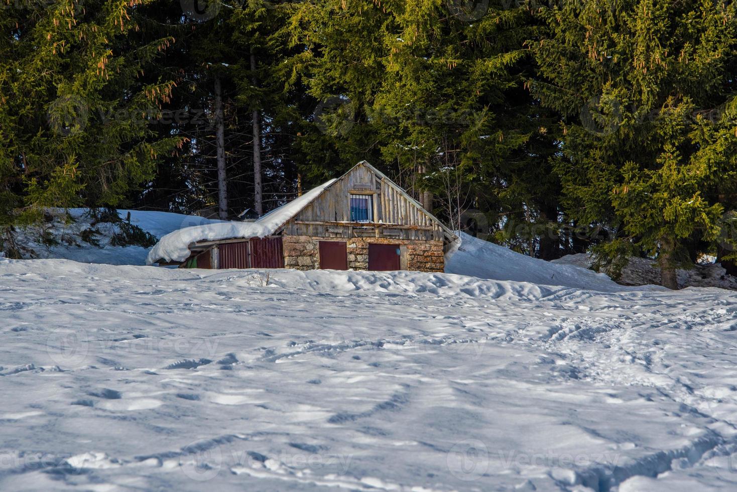 galpão na neve e árvores foto