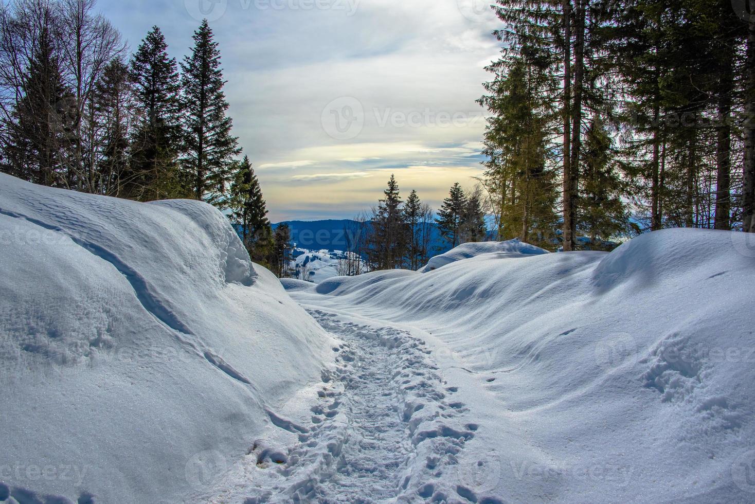 trilha na neve foto
