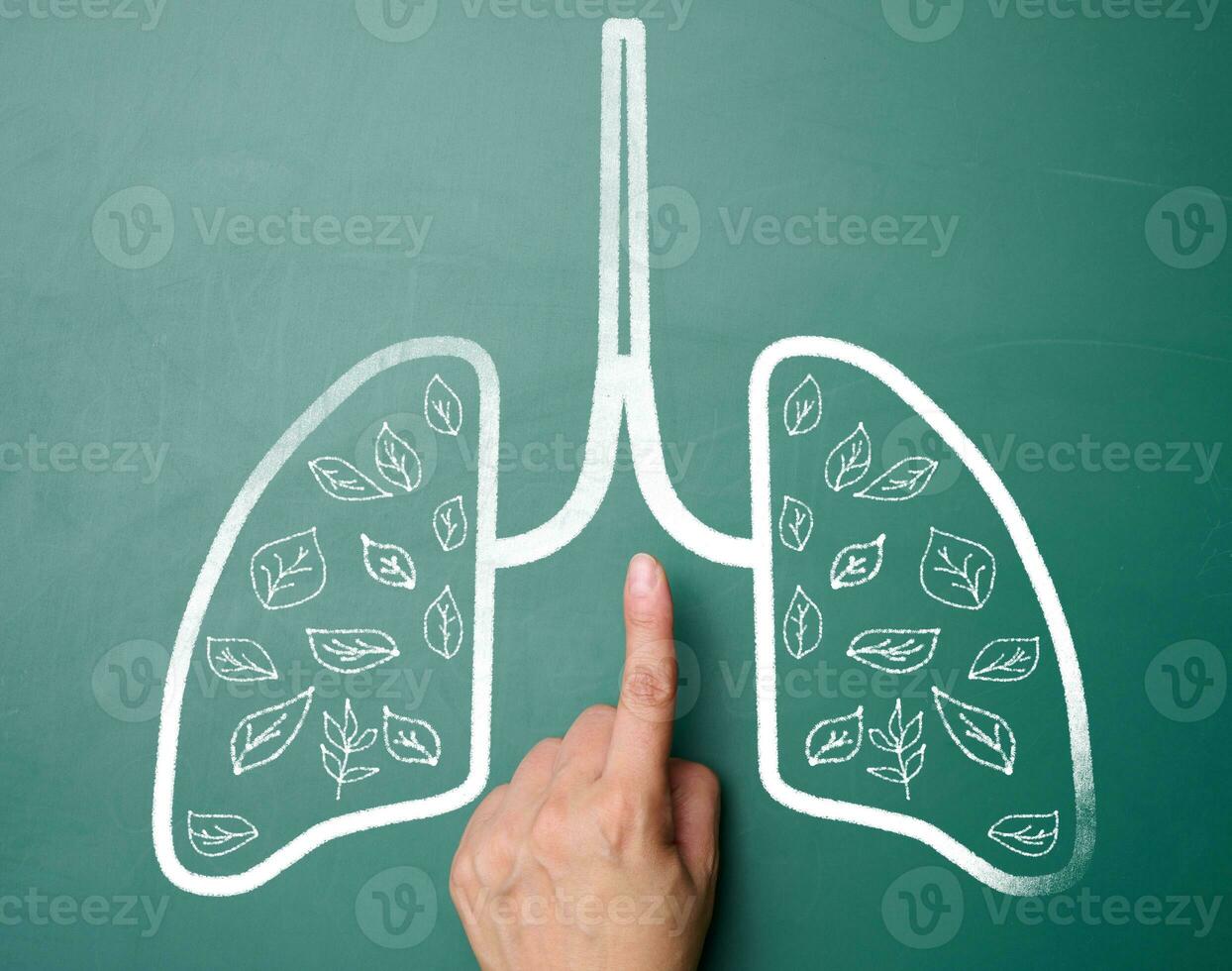 riscado pulmões em uma verde giz borda e uma mulher mão. a conceito do de Meio Ambiente proteção, redução do carbono dióxido emissões foto