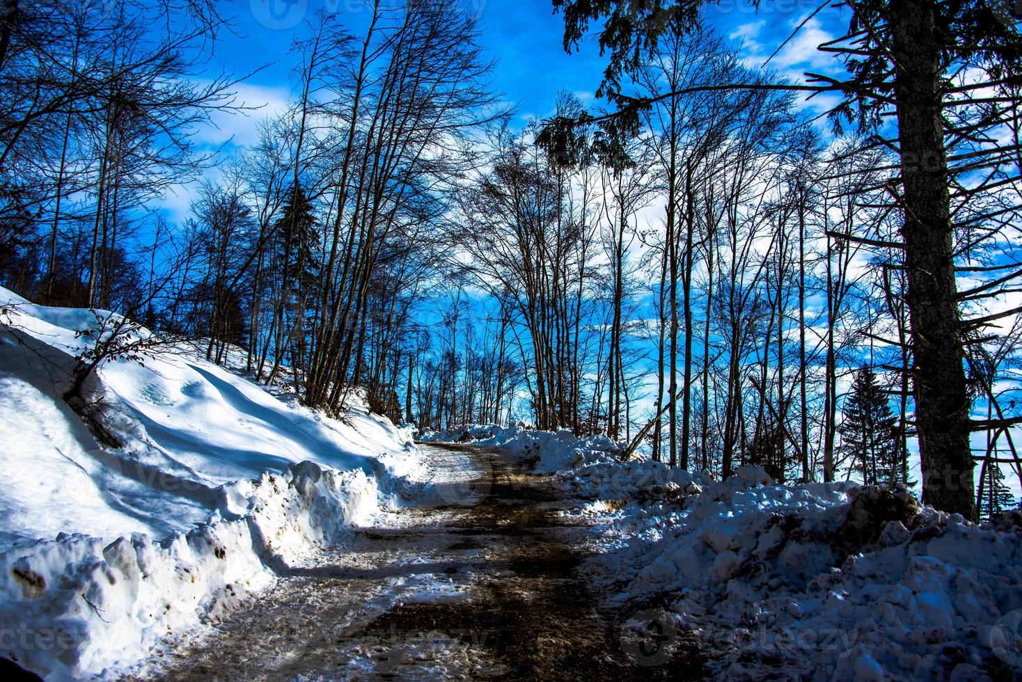 estrada entre floresta e neve foto