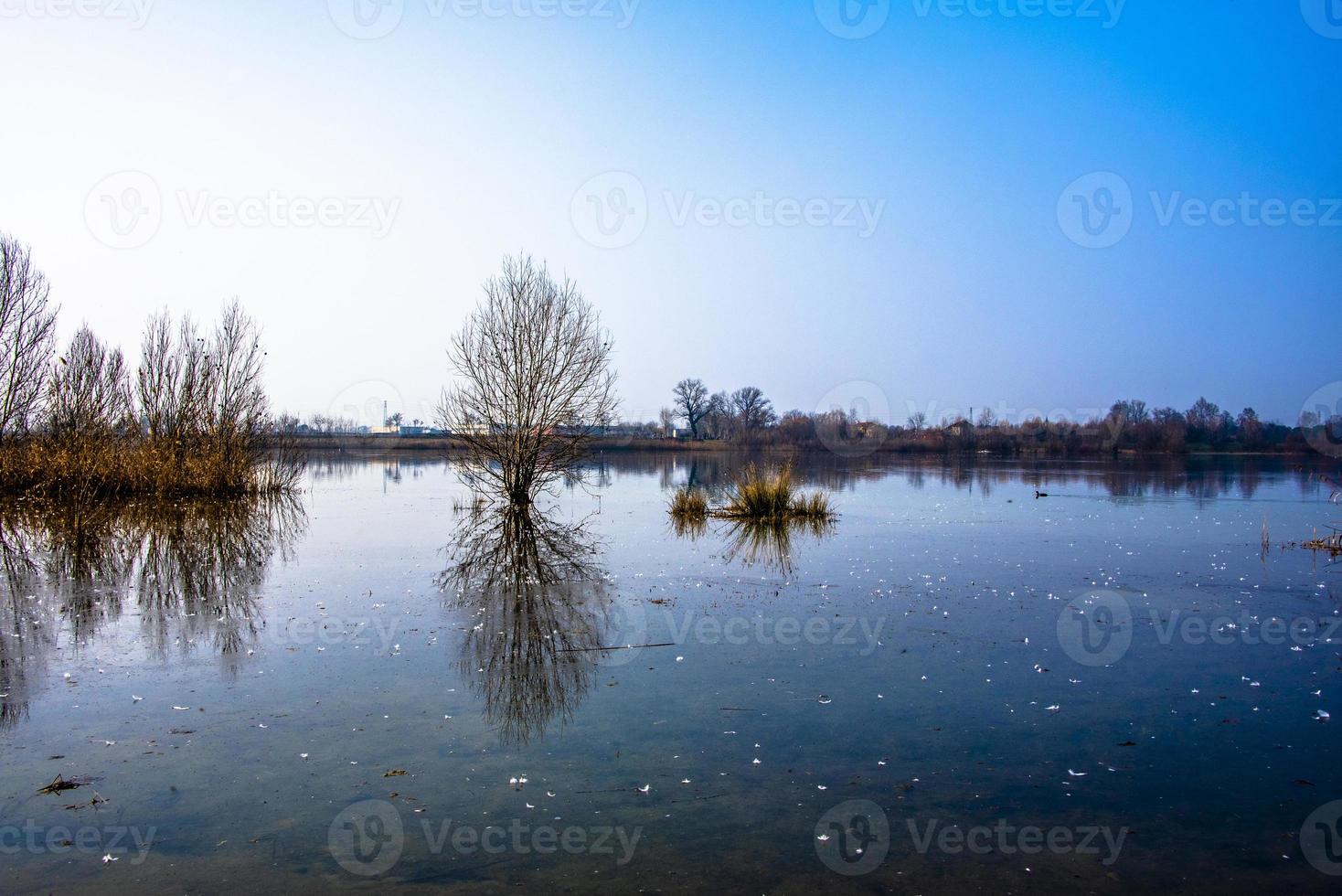 reflexos tristes e plácidos foto