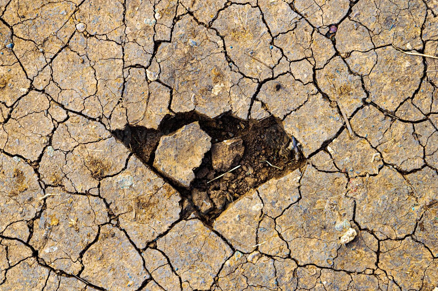 falta de água na terra foto