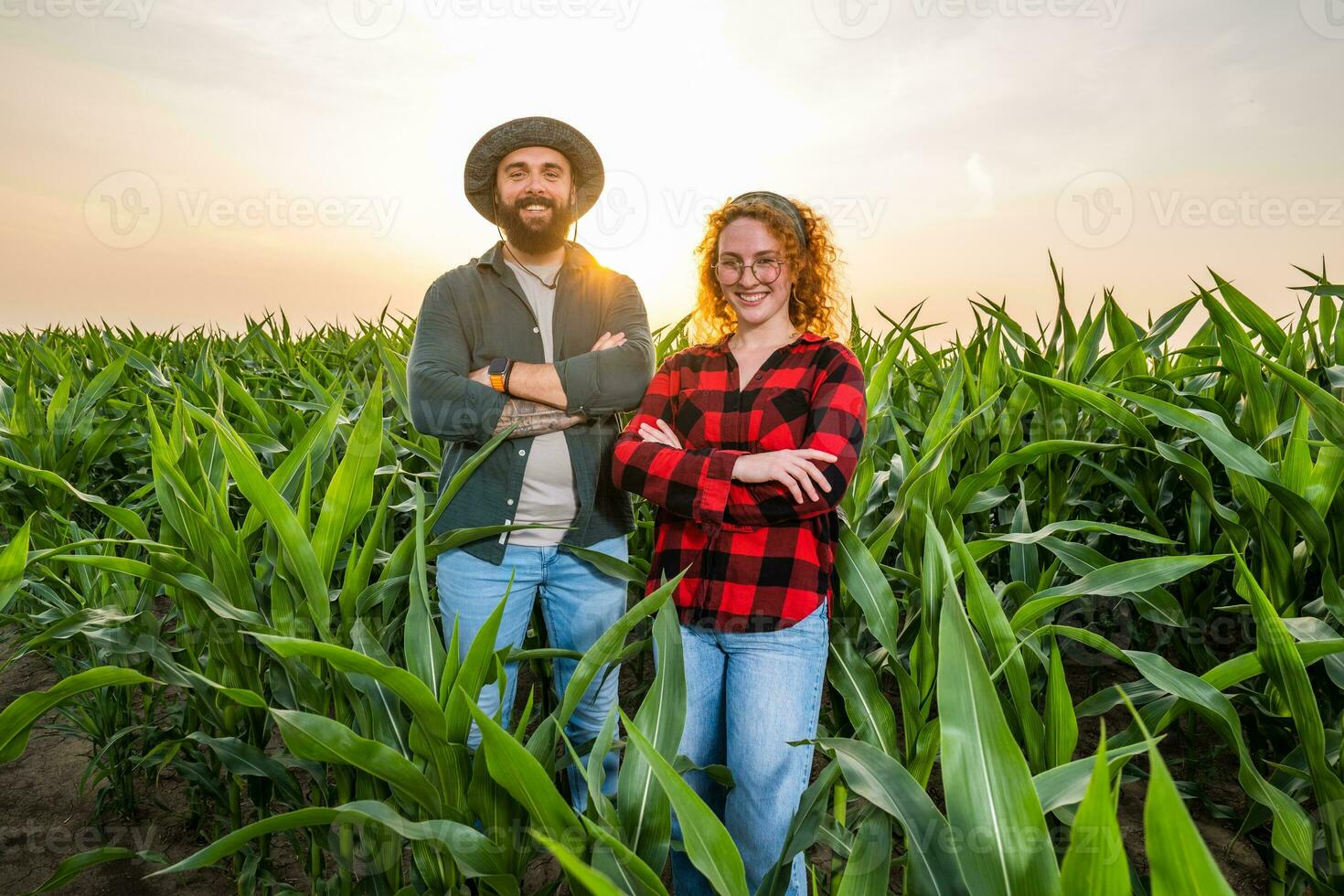 família agrícola ocupação. homem e mulher estão cultivar milho. elas estão satisfeito com Boa progresso do plantas. foto