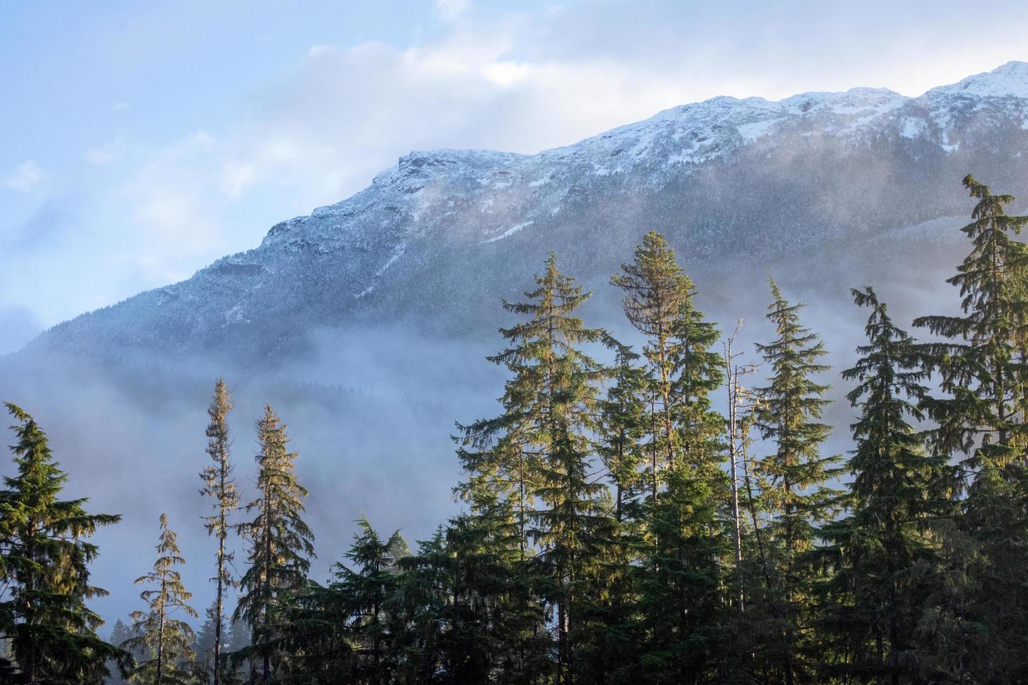 árvores verdes perto da montanha sob nuvens brancas foto