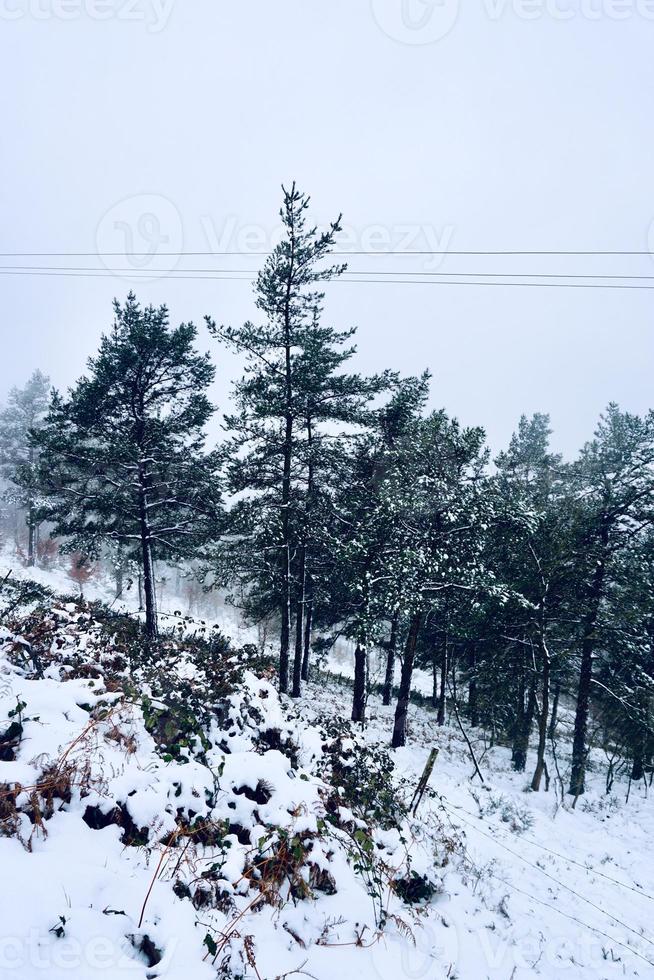 neve na montanha no inverno foto