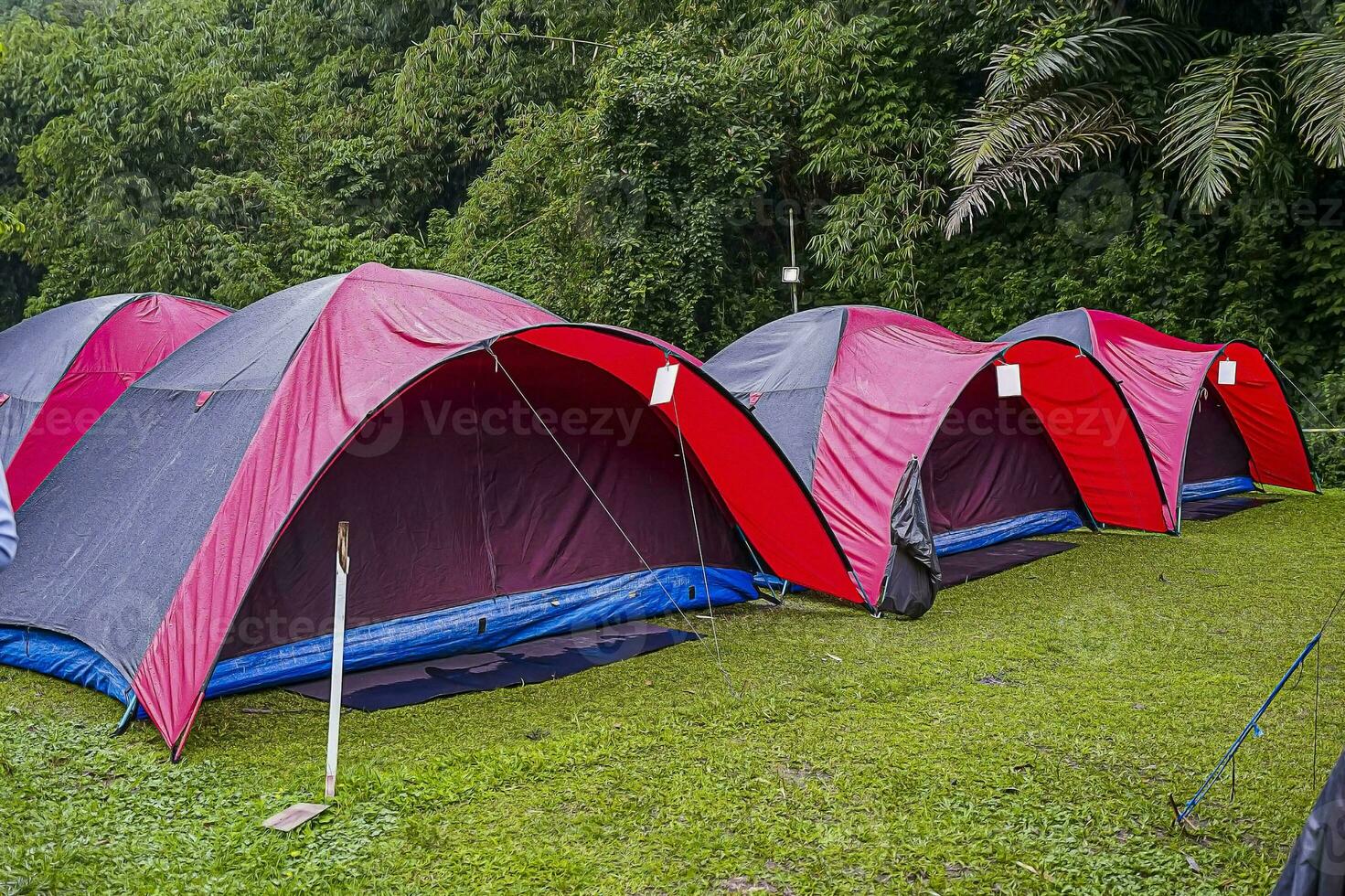 linhas do tendas estão construído para dormindo quando carregando Fora feriados com família. foto