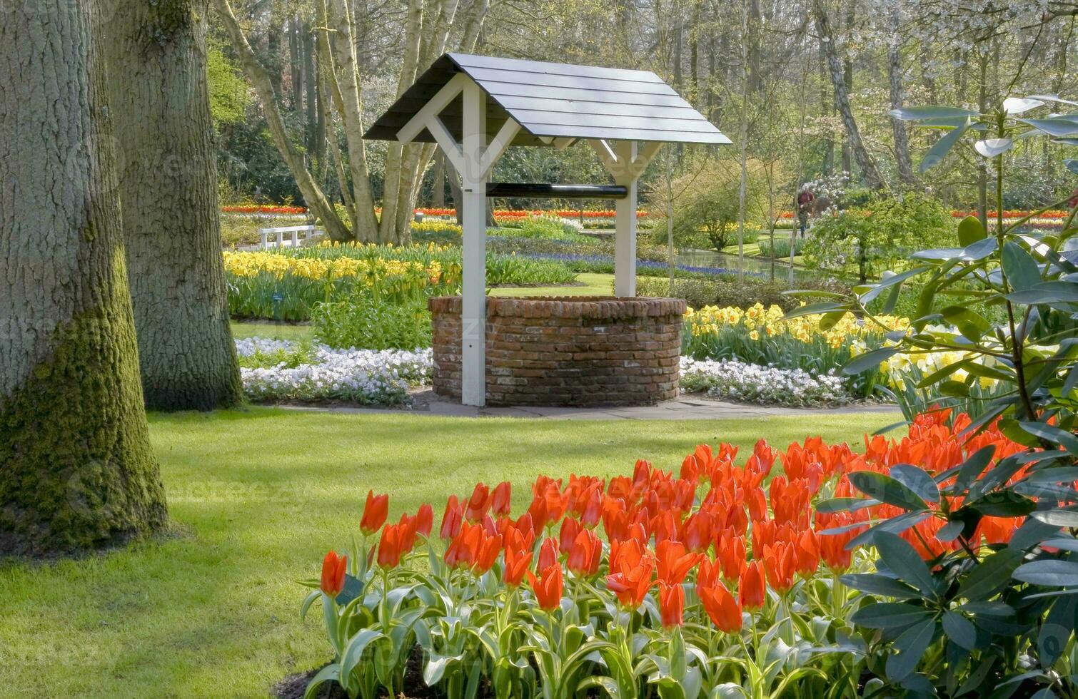 Países Baixos colorida cenário e flores foto