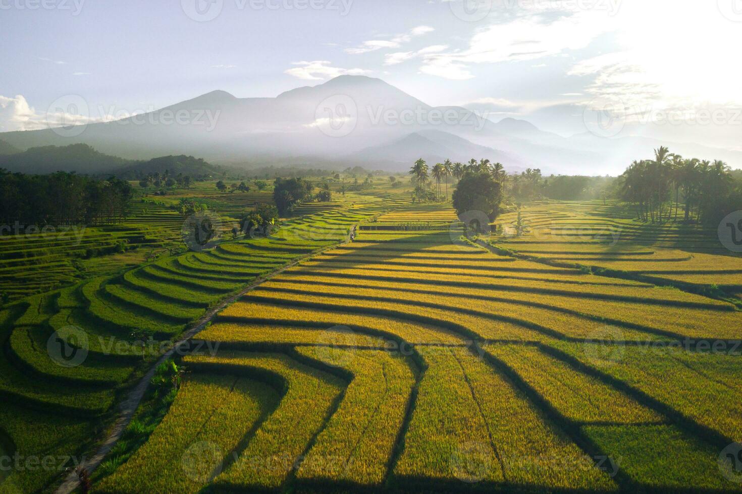 bela vista matinal indonésia panorama paisagem arrozais com cor de beleza e luz natural do céu foto