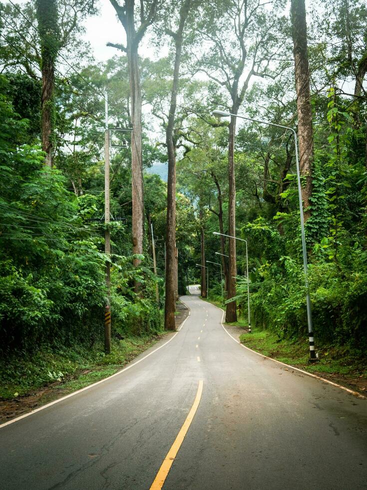 grandes estrada viaja através aldeias dentro rural Tailândia através florestas, alta árvores e montanhas em chuvoso dias, perfeito para dirigindo Chiang dao, Chiang mai. foto