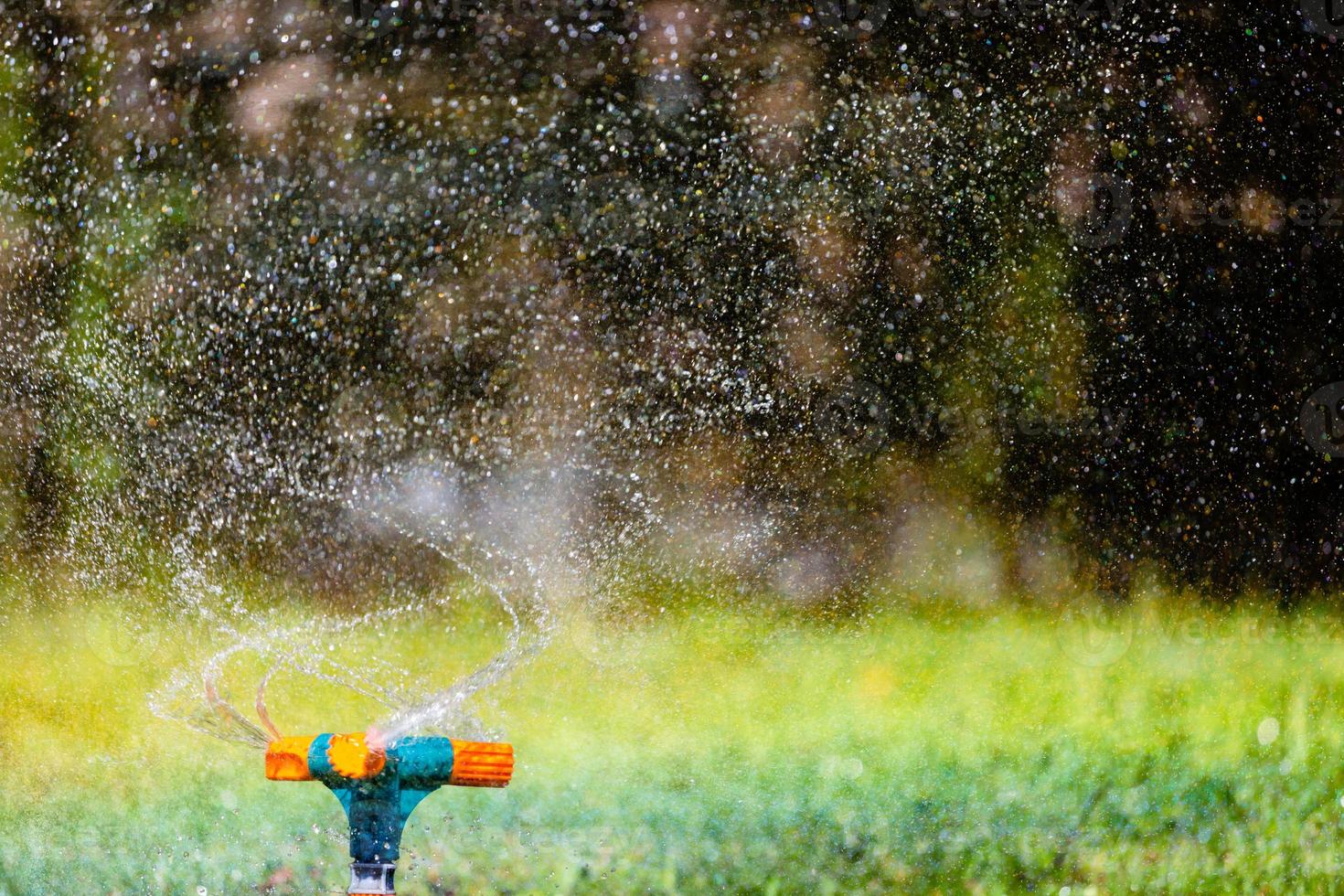 irrigador de jardim regando grama foto