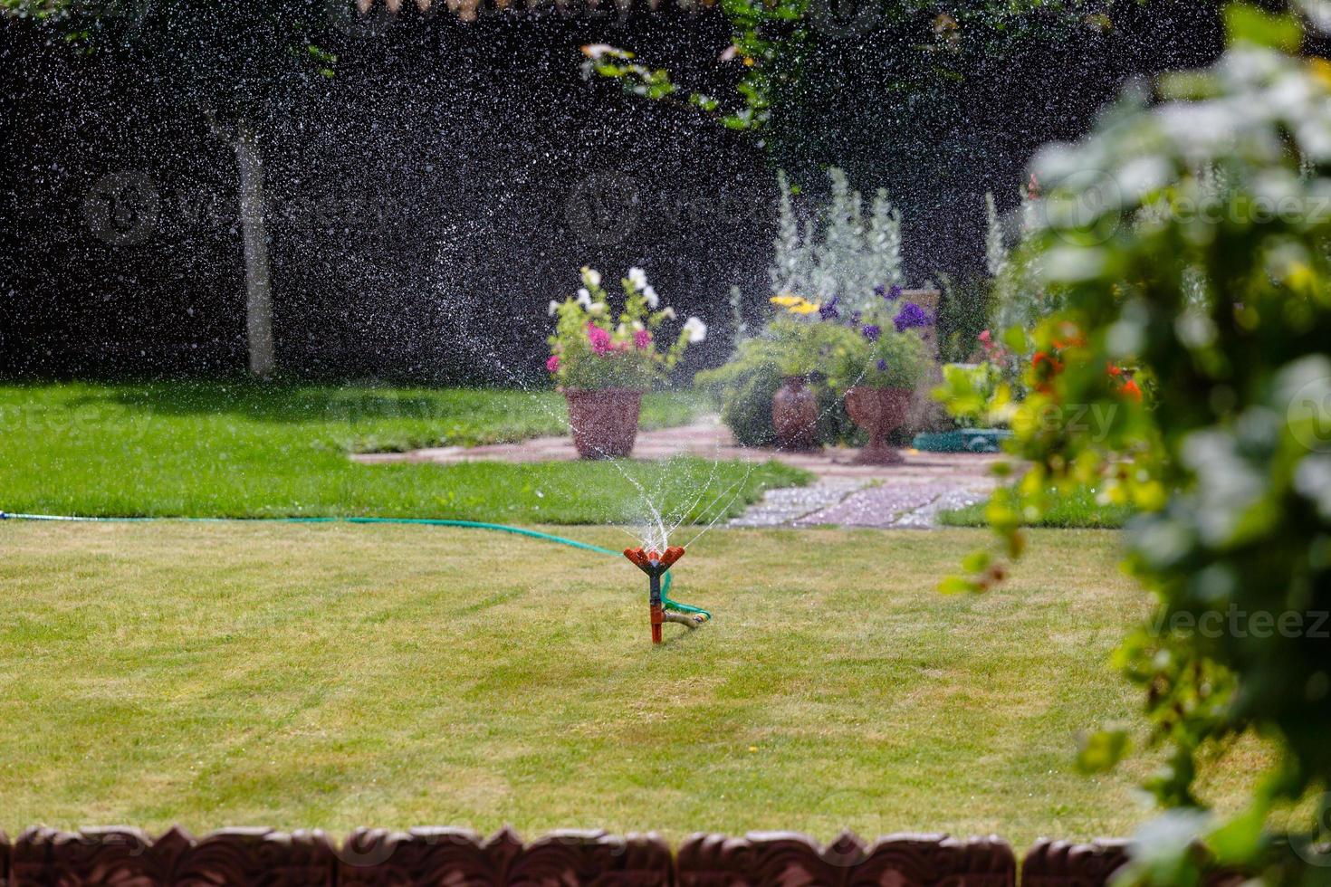 irrigador de jardim regando grama e flores foto