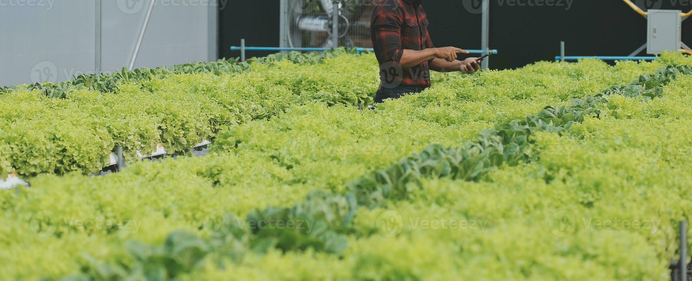fêmea cientista examinando uma plantas dentro estufa Fazenda. cientistas segurando equipamento para pesquisa plantar dentro orgânico Fazenda. qualidade ao controle para hidroponia vegetal Fazenda. foto