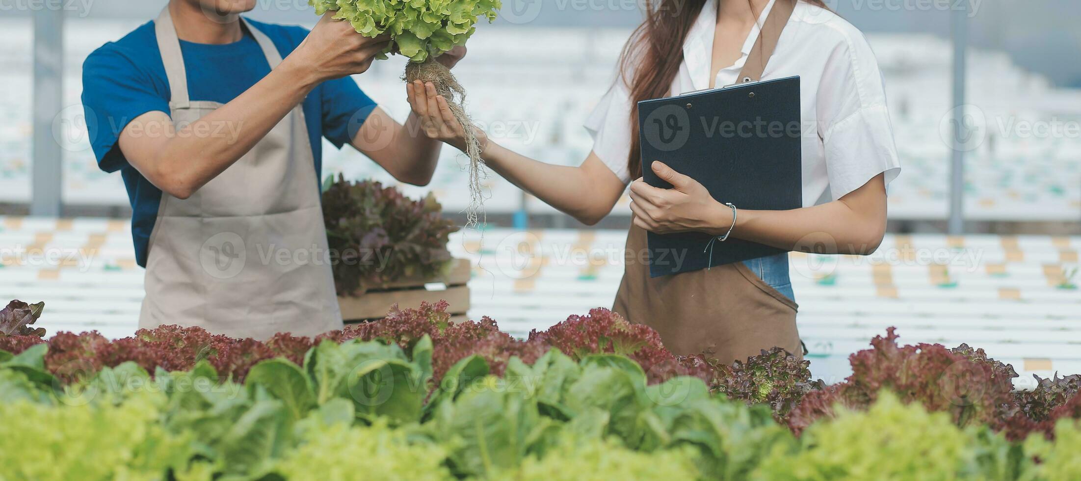 pesquisadores dentro hidropônico vegetal jardins estão colecionar amostras para teste legumes crescido a partir de pesquisa água e examinando a água usava para crescendo hidropônico legumes em a Fazenda. foto