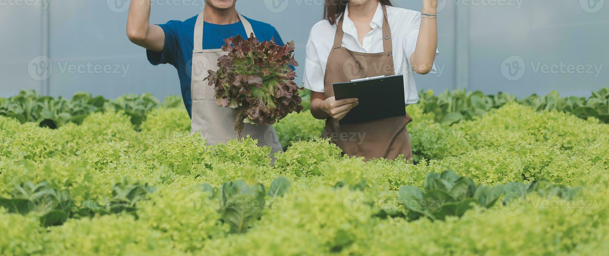 pesquisadores dentro hidropônico vegetal jardins estão colecionar amostras para teste legumes crescido a partir de pesquisa água e examinando a água usava para crescendo hidropônico legumes em a Fazenda. foto